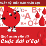 HIẾN MÁU NHÂN ĐẠO NĂM HỌC 2021-2022